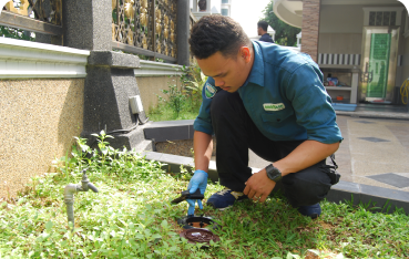 An exterminator is providing a pest control service in Selangor.