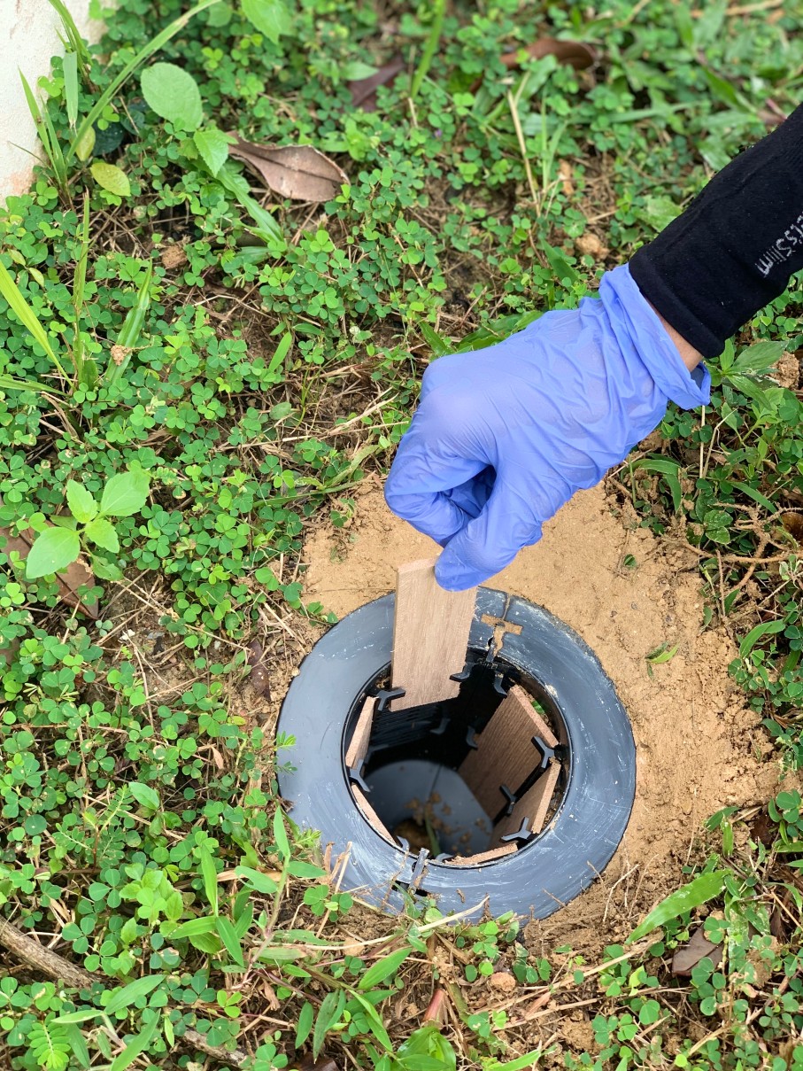 A man is installing an in-ground termite baiting system during termite pest control treatment service.