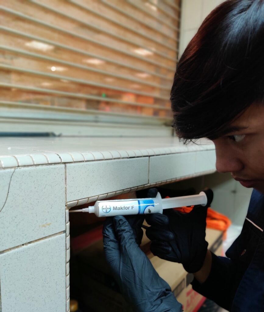 A man is putting cockroach gel bait during cockroach pest control treatment.