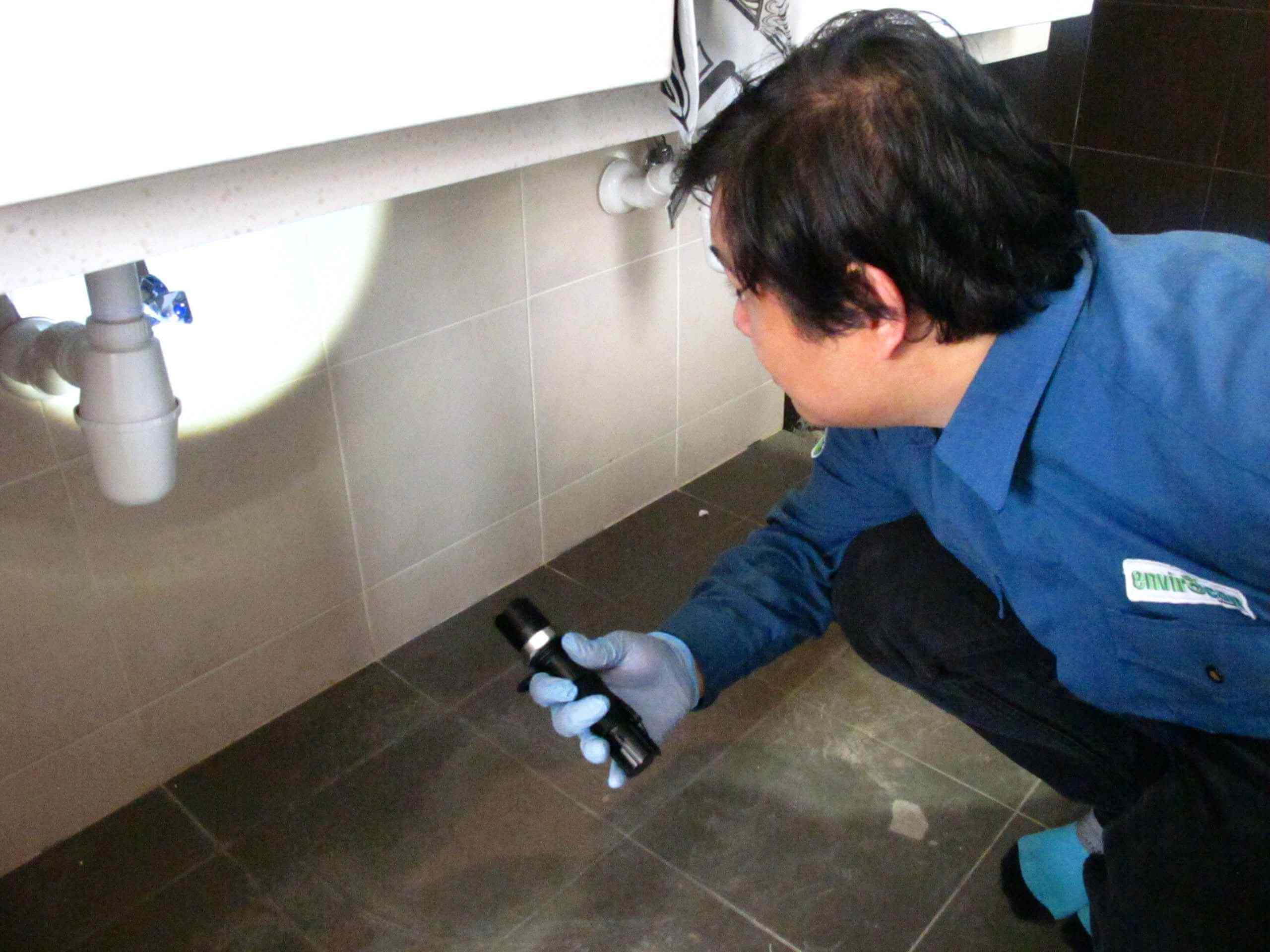 A man with a black torch light is inspecting the area during cockroach pest control treatment.