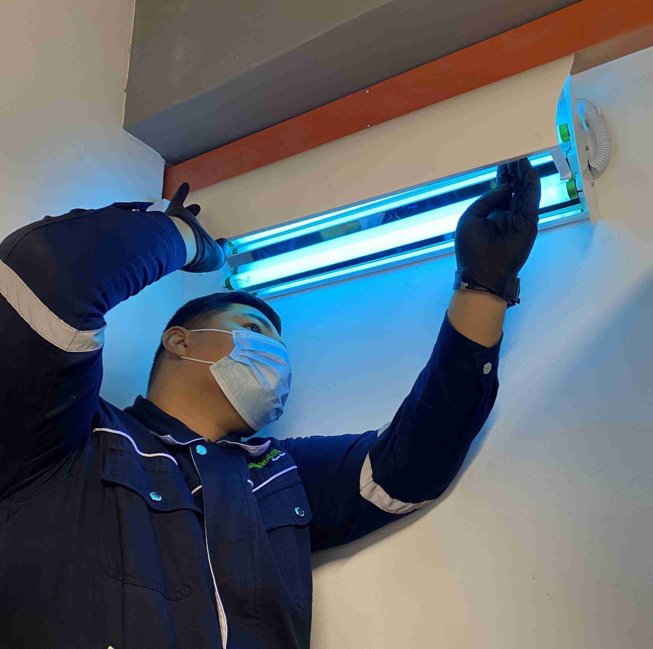 A man is inspecting the light traps for mosquito pest control.